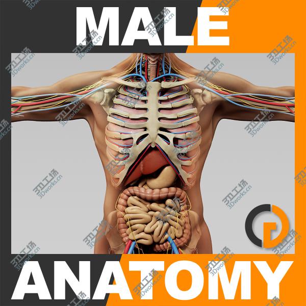 images/goods_img/20210115/3D model Lion 2 Animated (Polygonal Mane)/2.jpg